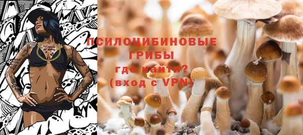 PSILOCYBIN Кинешма