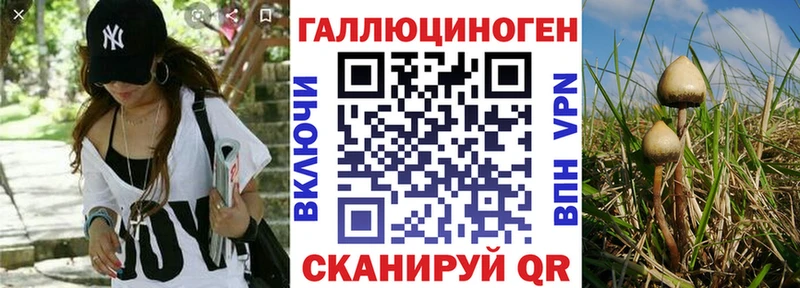 Галлюциногенные грибы мухоморы  как найти   Ачинск 